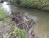 Photo of a river with a small brushwood bundle pinned to the bank