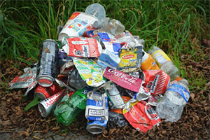 Photo of a pile of litter