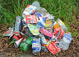 Photo of a pile of litter