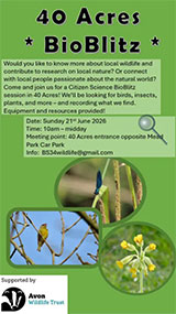 Poster advertising the Nature Bioblitz at 40 Acres