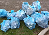 Photo of a pile of litter