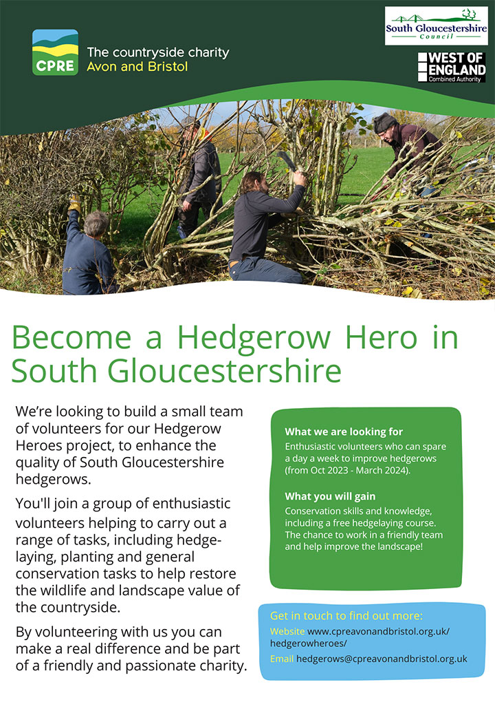 Poster advertising the Hedgerow Heroes project (all text content displayed on page)