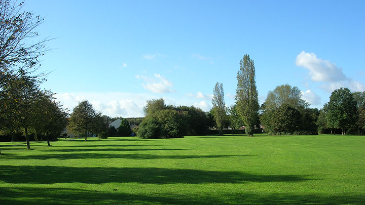 Photo of Royal Park and Forty Acres