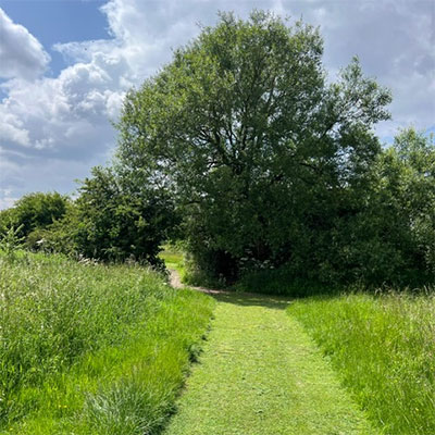 Photo of Forty Acres