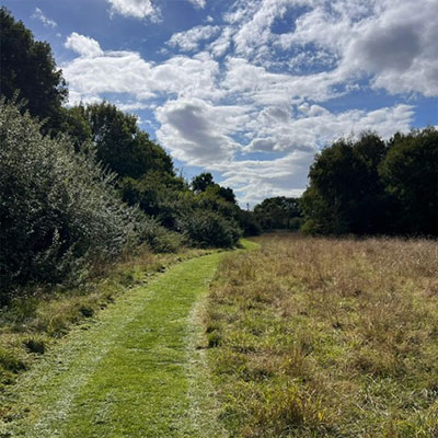 Photo of Forty Acres